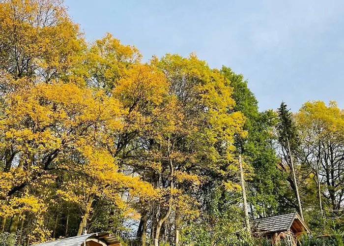 Tiny House/waldhaus - Westerwald *